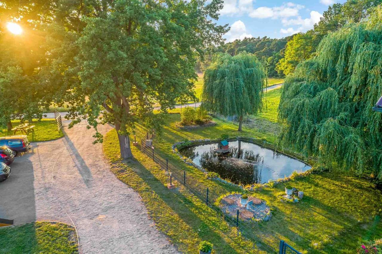 Landgut Voigtsmuehle Hotel Friedland  Kültér fotó