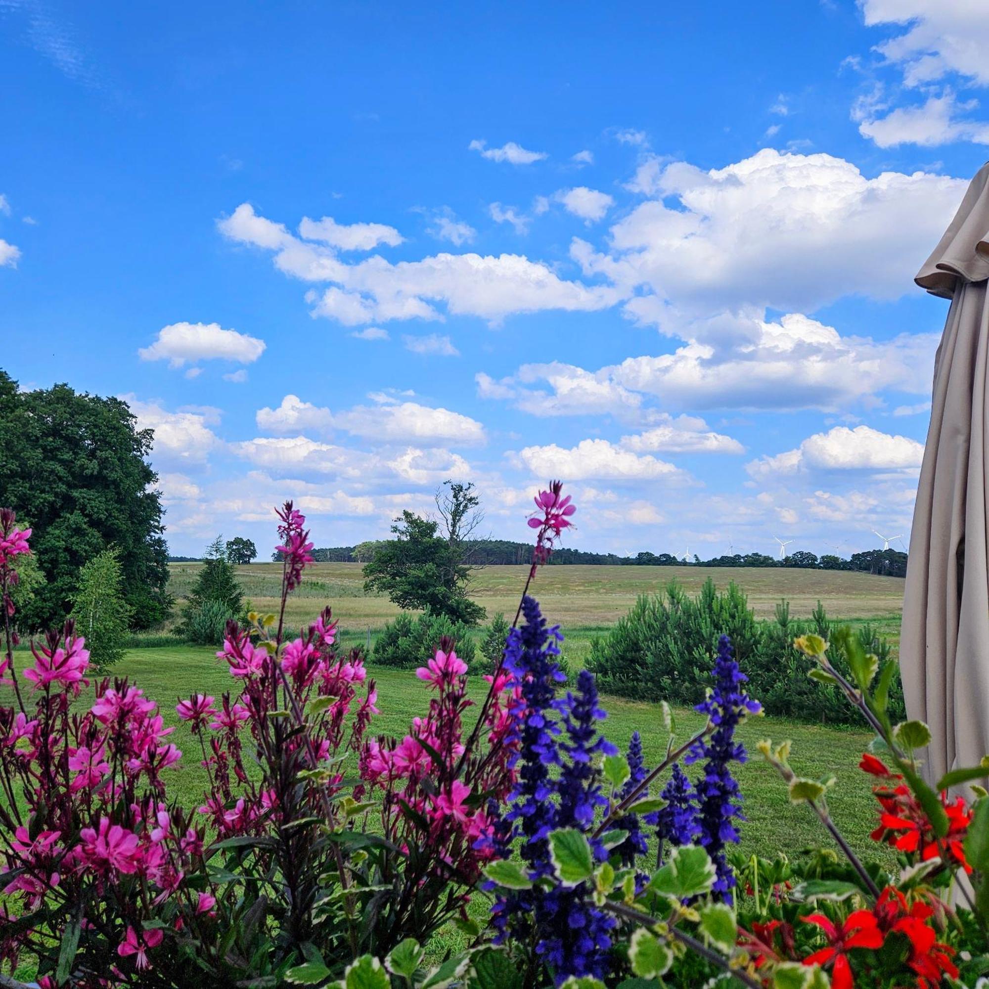 Landgut Voigtsmuehle Hotel Friedland  Kültér fotó