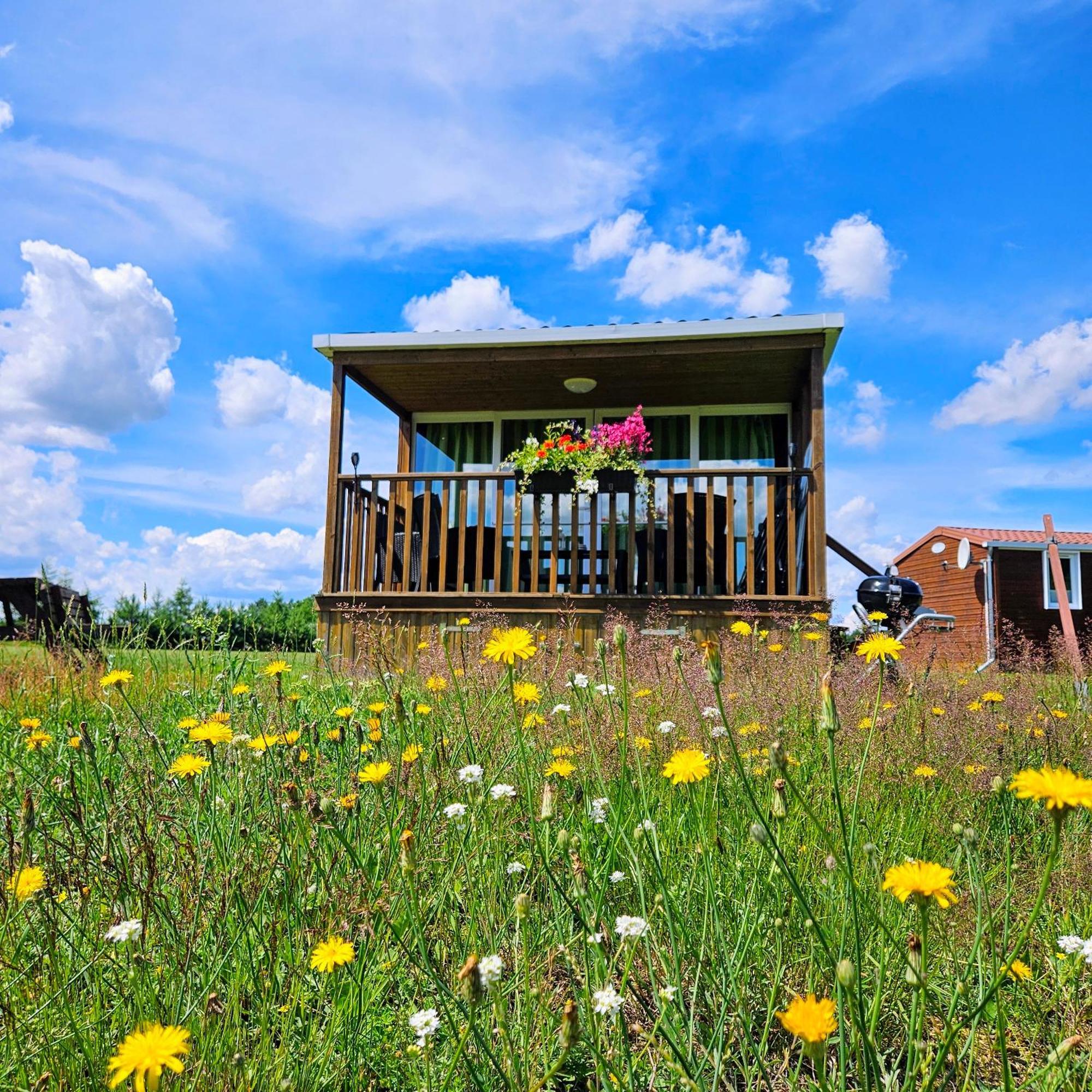 Landgut Voigtsmuehle Hotel Friedland  Kültér fotó
